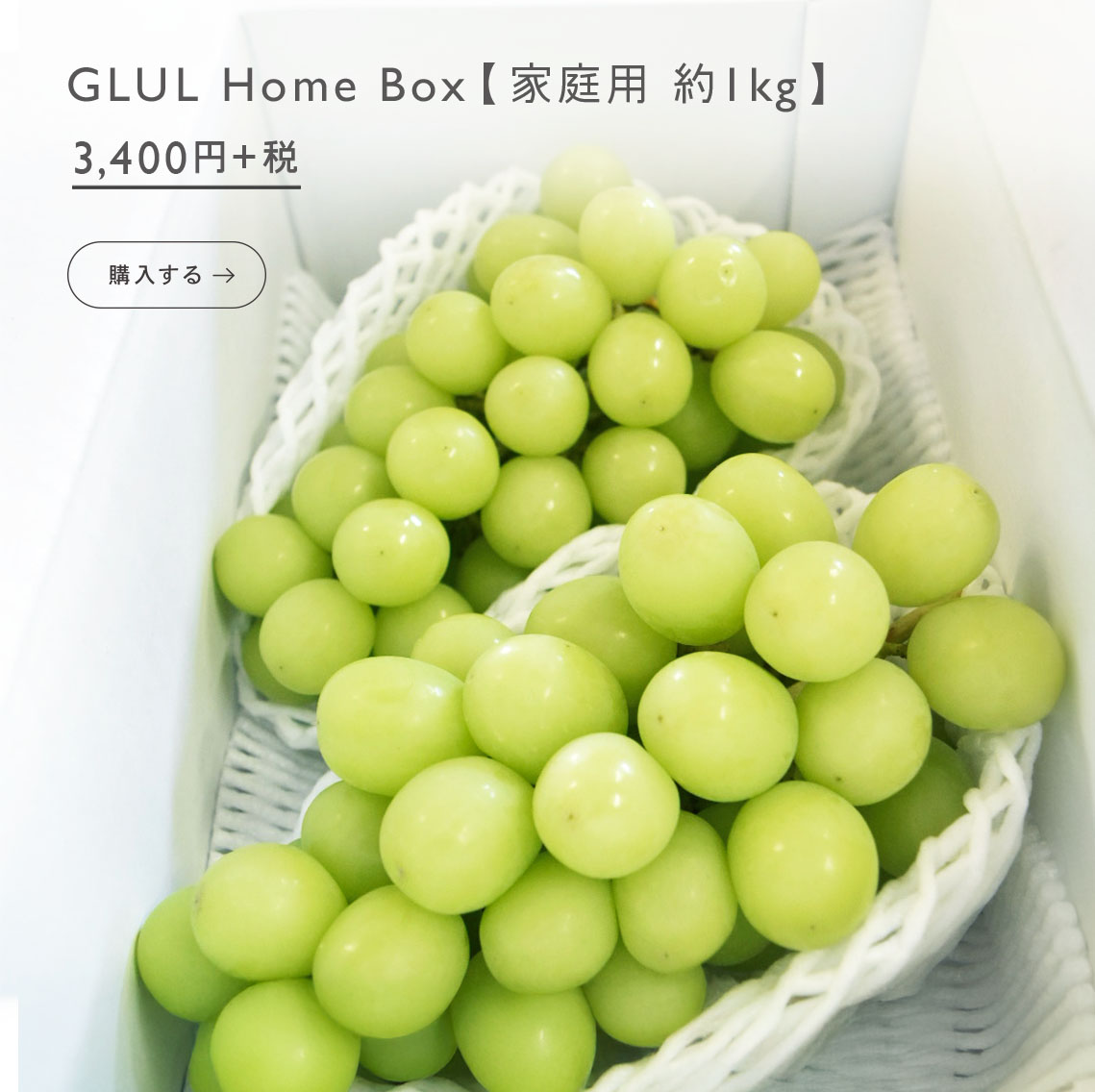 シャインマスカット家庭用